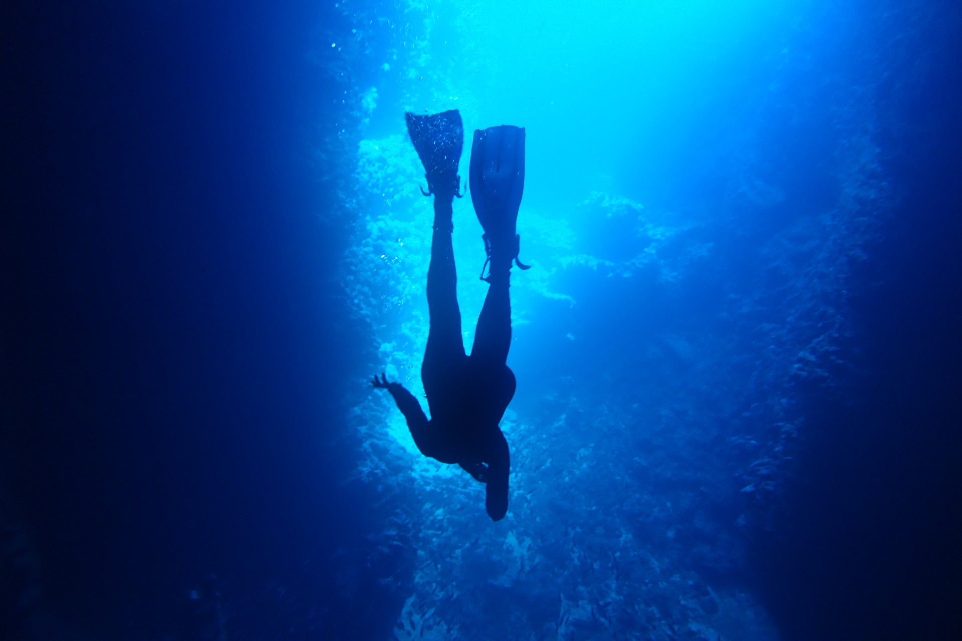 Bateig de submarinisme privat 