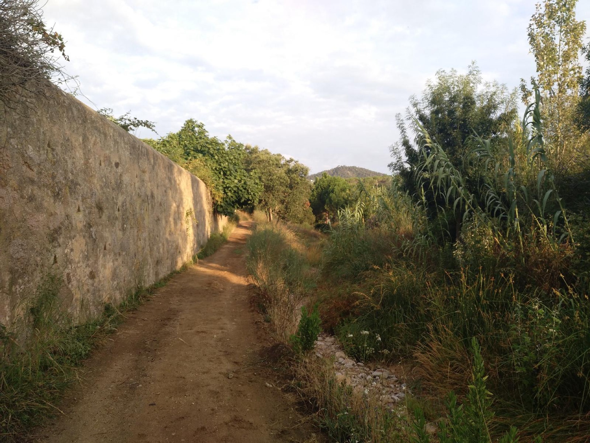 El balcó de ponent