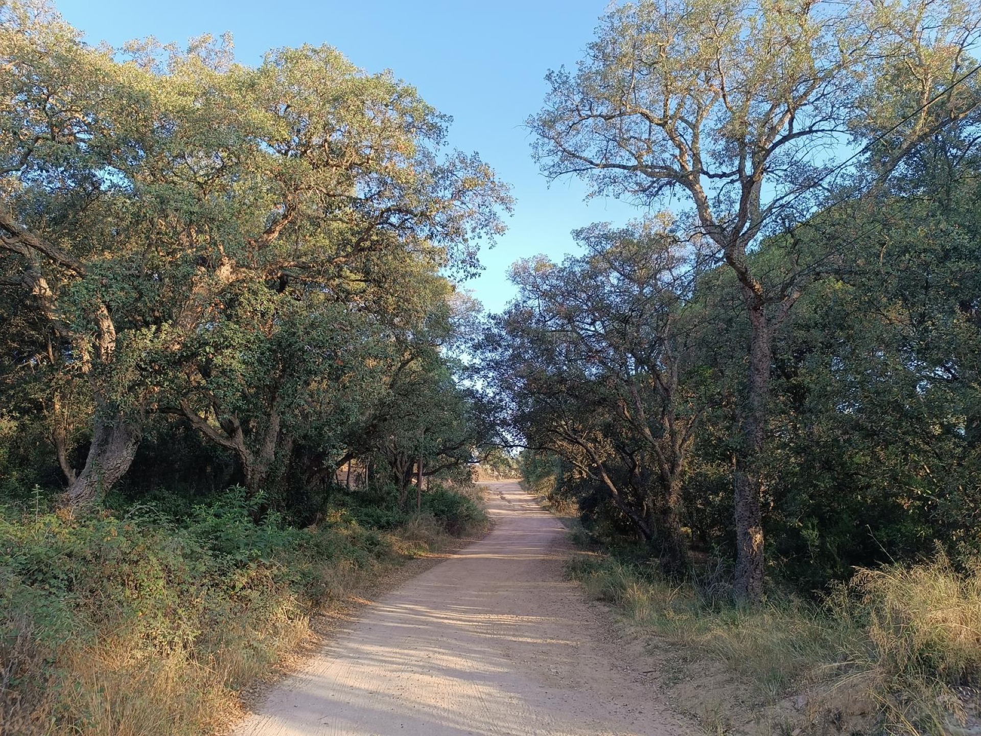 El bucle aeròbic de Sant Amanç