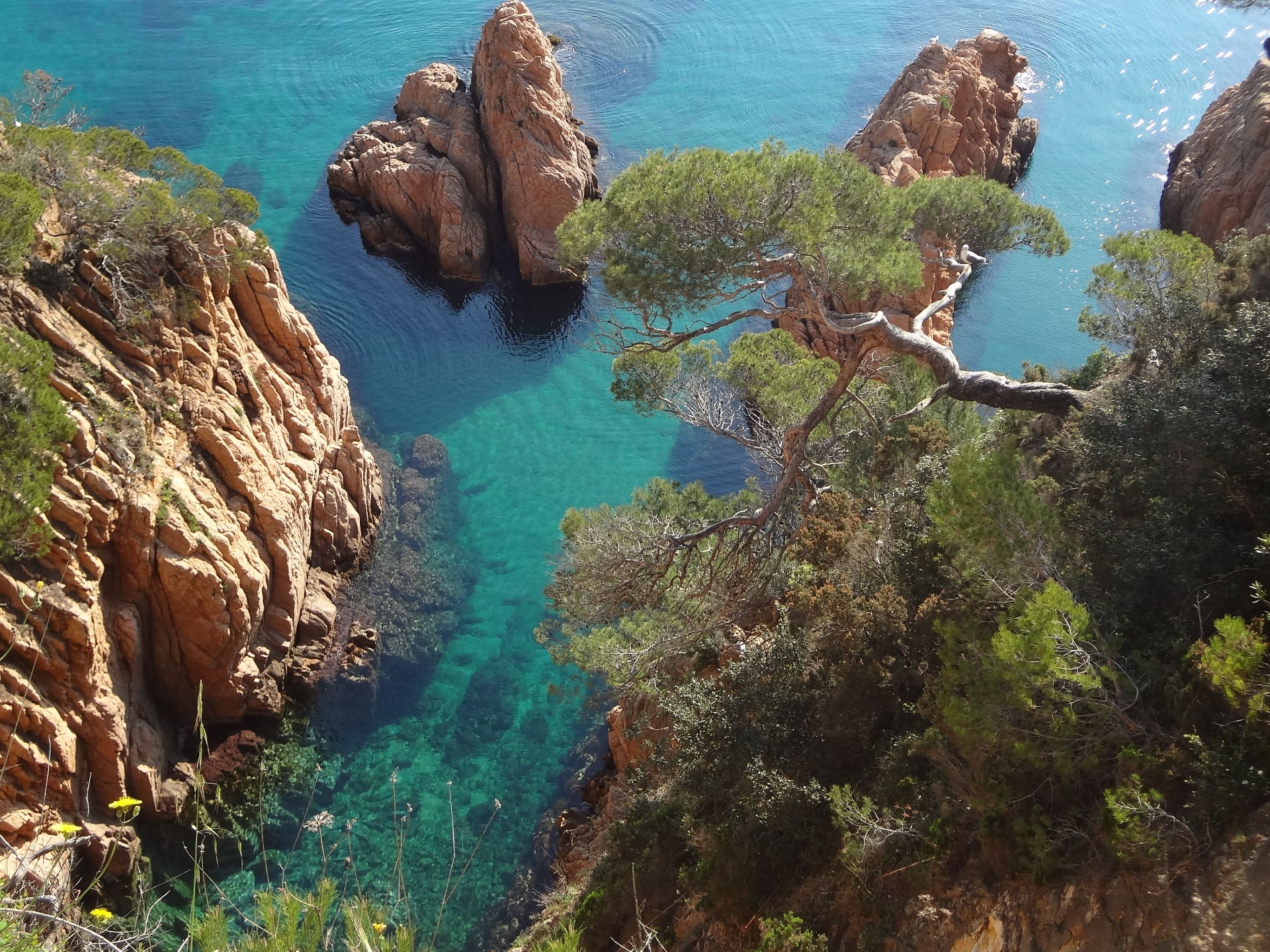 Ruta de l'onatge - Camí de ronda