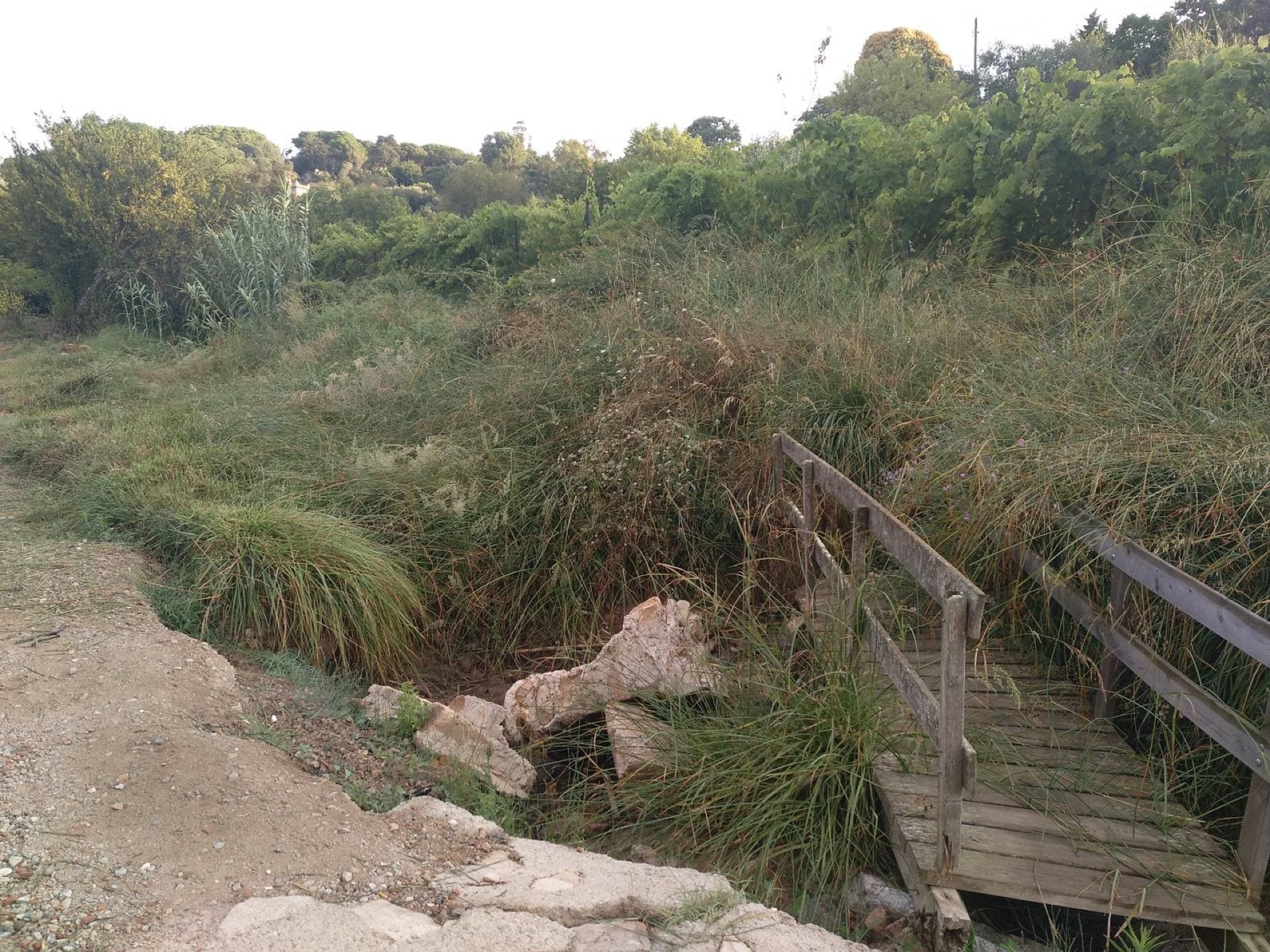 Tomb per les Comes i els Bosquerons